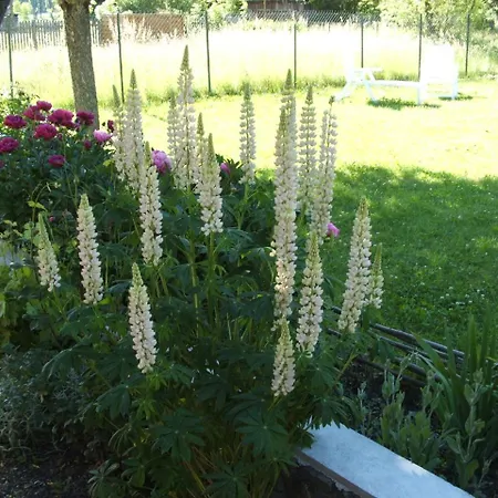 Maison D' Hotes Tranquyl 3* Barcelonnette